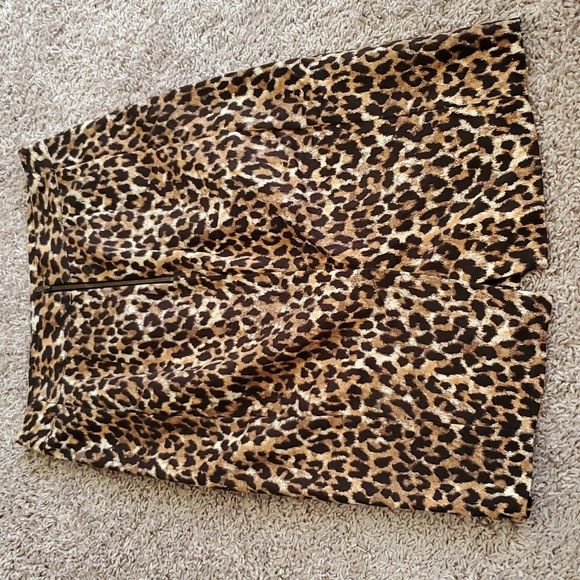 Ann Taylor Loft Pencil Skirt 🐆 - Picture 2 of 3
